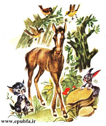 قصه کودکانه کرهاسب کوچولوی بامزه - محصول ایپابفا - ارشیو قصه و داستان کودکانه